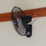 fan