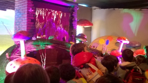 WP_20141113_029 Custom