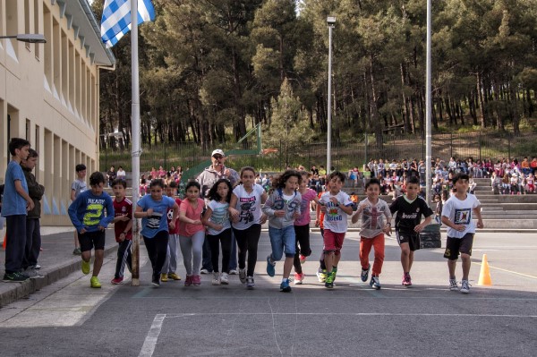 track endurance Custom