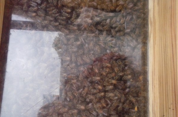 20160403_112352 Custom