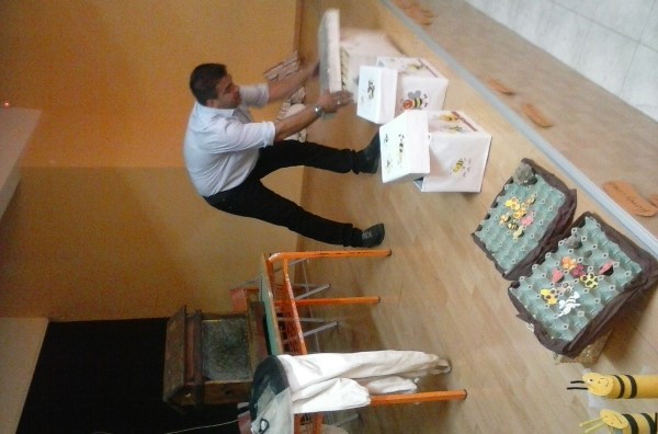 20160530_110220 Custom