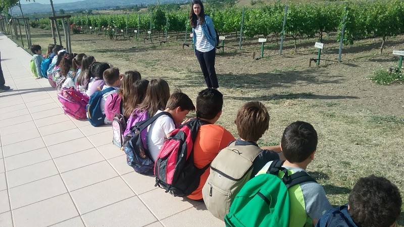 20170508_093431 Custom