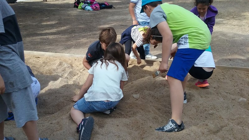 20170508_095743 Custom